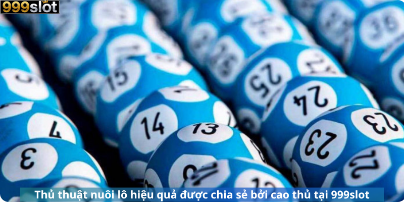 Thủ thuật nuôi lô hiệu quả được chia sẻ bởi cao thủ tại 999slot