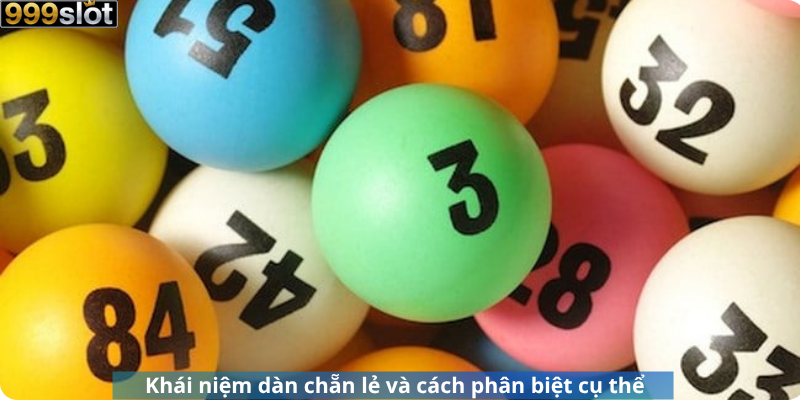 Khái niệm dàn chẵn lẻ và cách phân biệt cụ thể