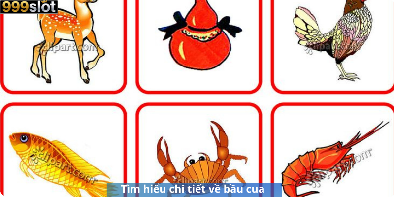 Tìm hiểu chi tiết về bầu cua