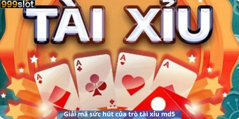 Giải mã sức hút của trò tài xỉu md5