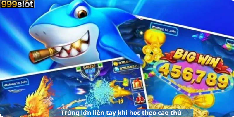 Trúng lớn liền tay khi học theo cao thủ